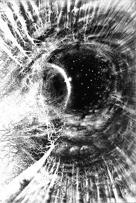 A bird flies towards the light from the darkness of the trees, which form a circle and the starry sky is visible.