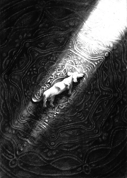 A dachshund sleeps on the carpet, which is illuminated by a strip of light.