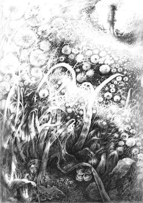 In the upper right corner of the picture, a woman is walking with her dachshund dog, in the rest of the picture grasses, many dandelions and plants can be seen from below, with a lucky four-leaf clover in front.