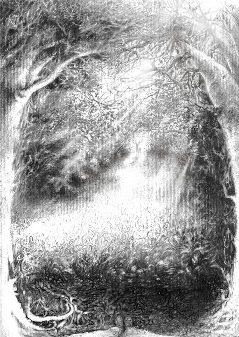 In the lower part of the picture, a pair of shoes can be seen, in front of it is a forest clearing, at the end of which a deer is looking back in a bushy passage.